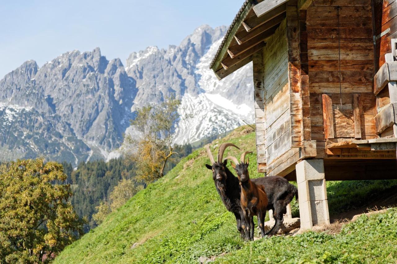 Gut Stein Panoramalodge Muhlbach Am Hochkonig Ngoại thất bức ảnh