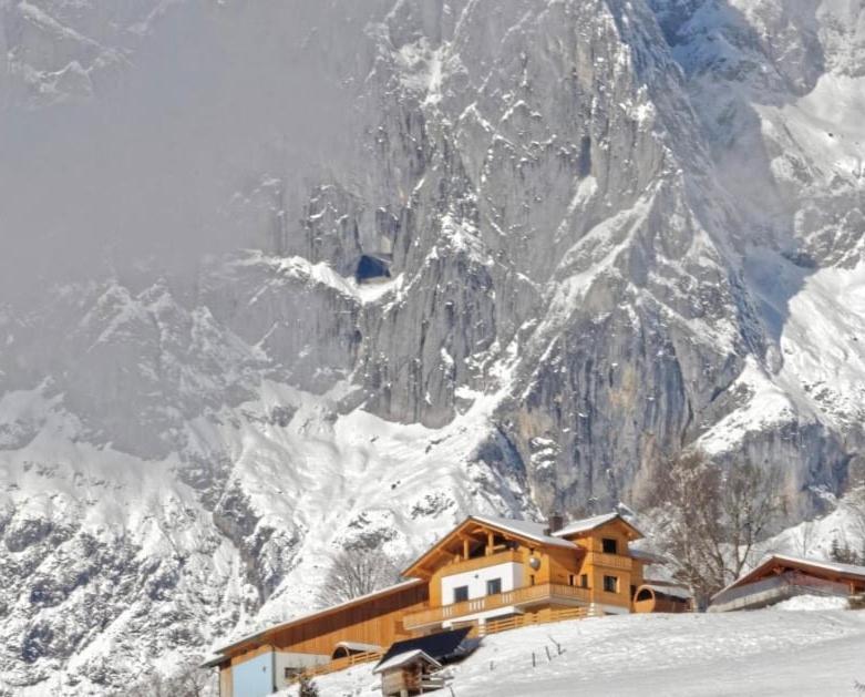 Gut Stein Panoramalodge Muhlbach Am Hochkonig Ngoại thất bức ảnh