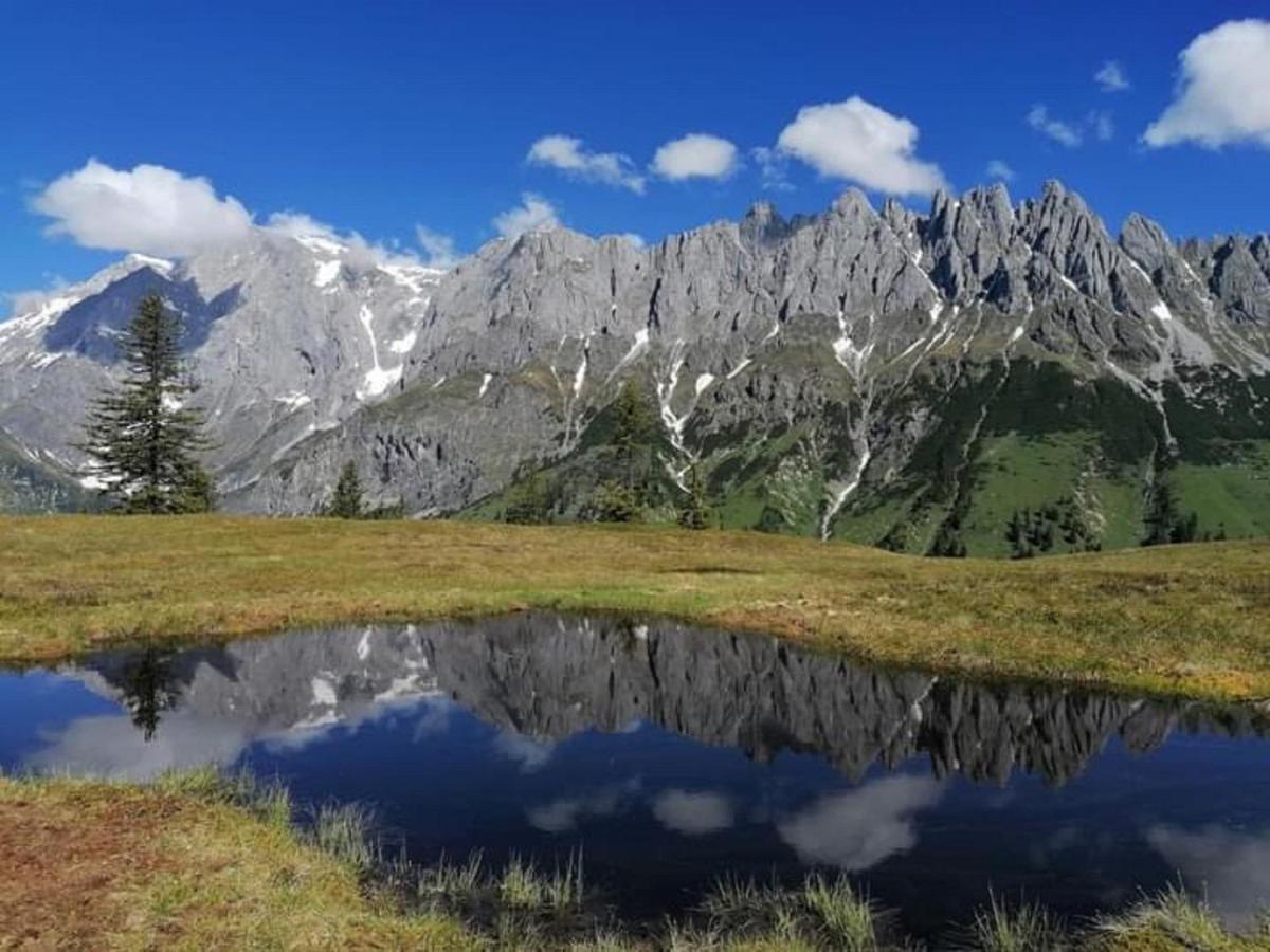 Gut Stein Panoramalodge Muhlbach Am Hochkonig Ngoại thất bức ảnh