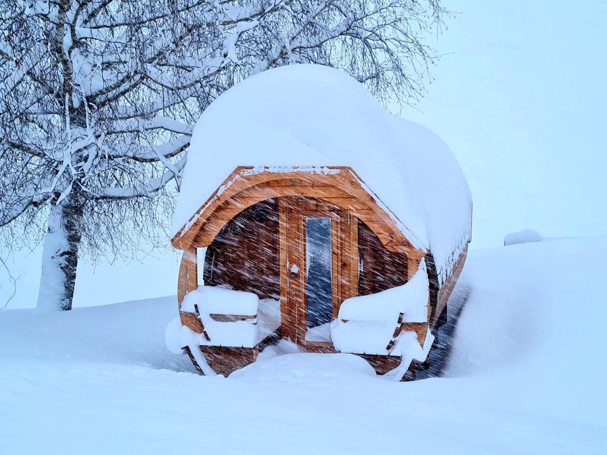 Gut Stein Panoramalodge Muhlbach Am Hochkonig Ngoại thất bức ảnh
