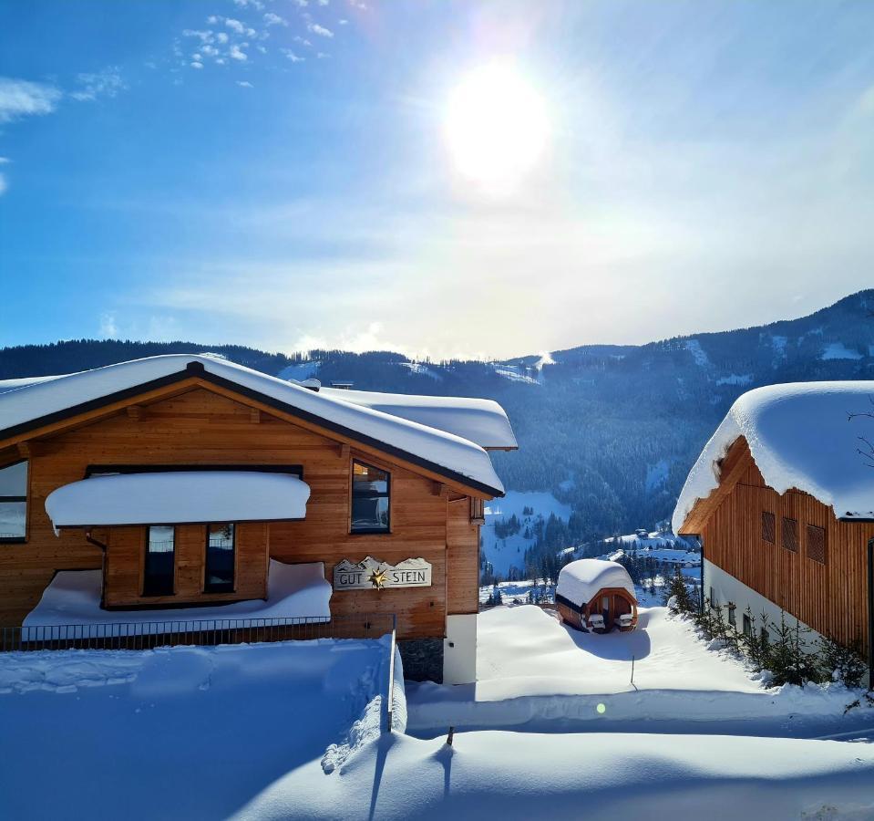 Gut Stein Panoramalodge Muhlbach Am Hochkonig Ngoại thất bức ảnh